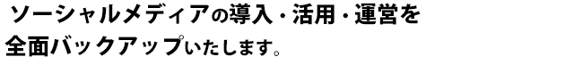  ソーシャルメディアの導入・活用・運営を全面バックアップいたします。