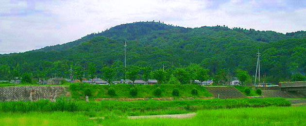 桜井市の自然img